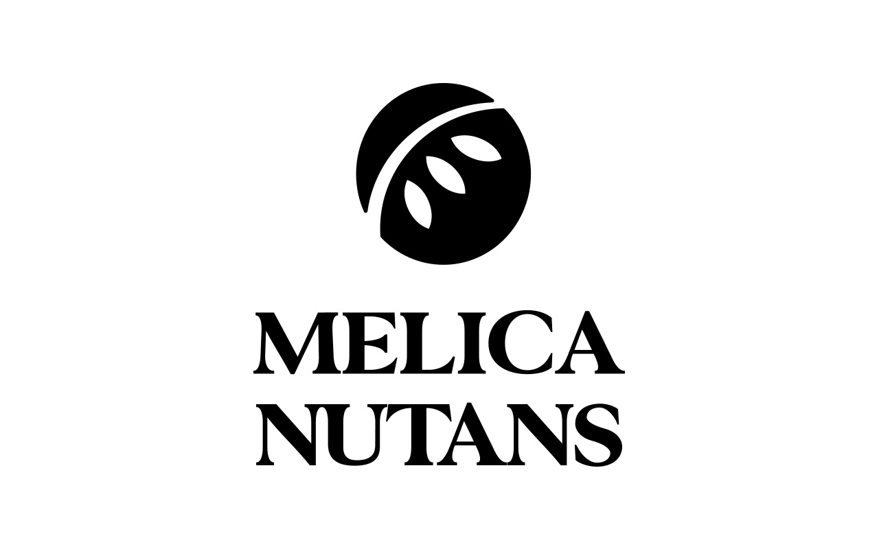 melica_2_1280x800